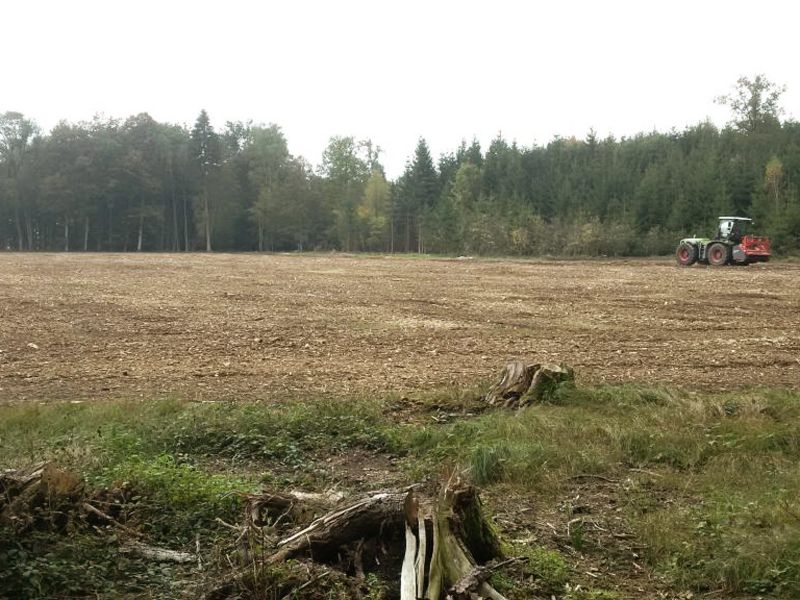 NACHHER - Gemulchte Fläche in Schambach