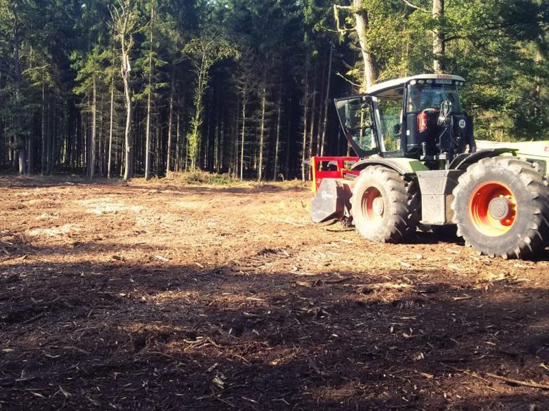 NACHHER - Gemulchte Fläche in Irlbach